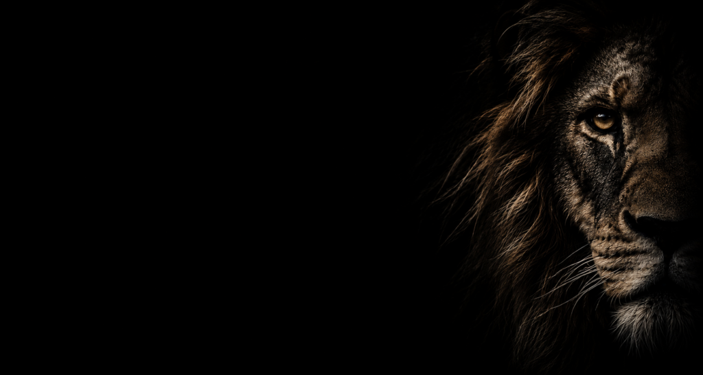 Leeuw – visuele identiteit van Lion Creations